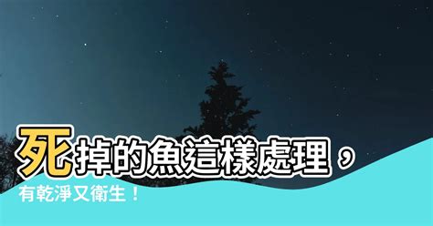 死掉的魚怎麼處理|3种方法来判断鱼死没死